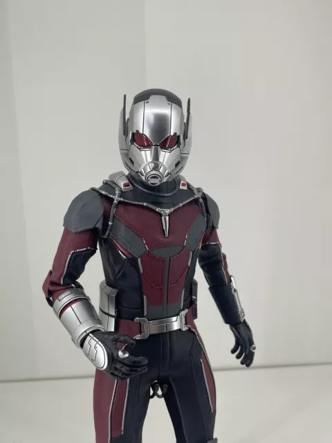 1/6 Scale Captain America Civil War Movie Masterpiece Ant-Man Hot Toys