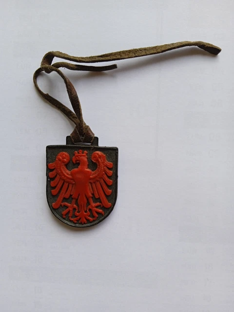 BG4199 - INSIGNE BLASON LA MOLINA