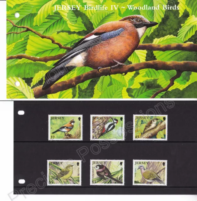 Jersey Mnh Presentation Pack Stamp Set 2010 Birdlife Woodland Birds Sg 1495-1500