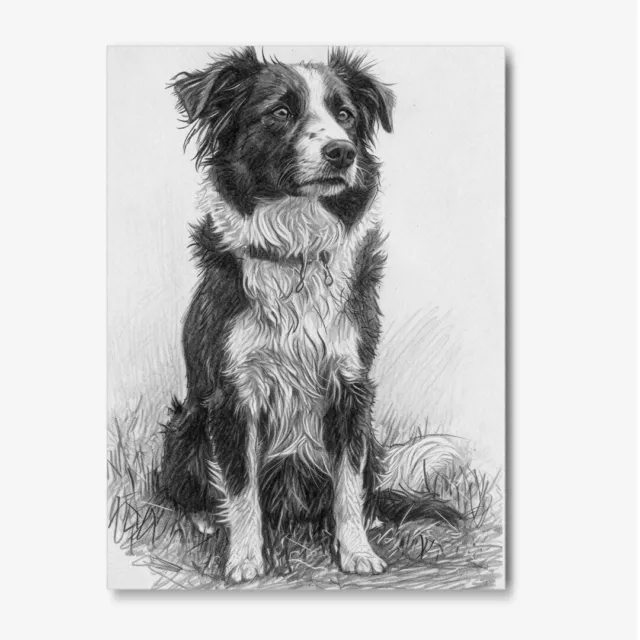 Border Collie Pencil Drawing Black & White Dog Print Collie Gift Dog Wall Art