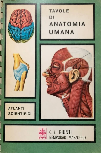 Set 6 Poster Anatomia Umana - Formati A3 E A4, Per Studio E Decorazione Nordica - Foto 2