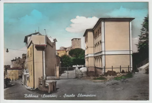 Old Bibbon Postcard - Livorno - Elementary Schools - Large Size