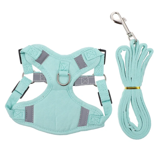 Guinzaglio da allenamento per cani guinzaglio di coniglio guinzaglio per gatto gilet da corsa