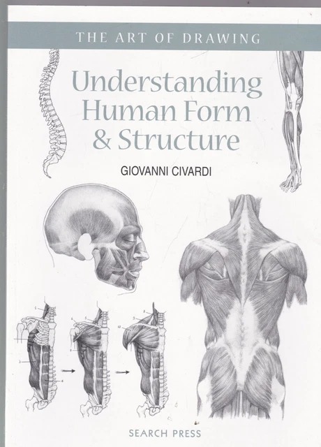 ART OF DRAWING: Understanding Human Form & Structure Detailed How to ...