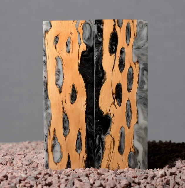 2x Escalas Cactus Cholla Estabilizada Madera Burl 131x43x13mm.