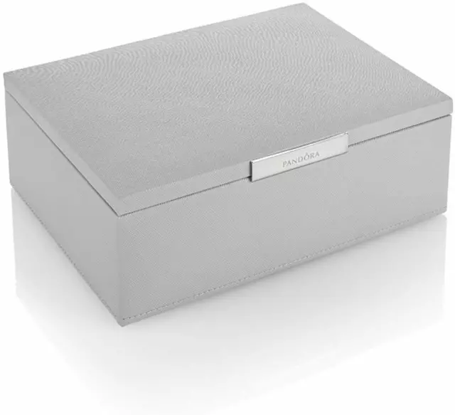 Pandora dove grey best sale jewellery box
