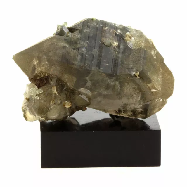 Quartz fumé Biterminé + Titanite. 132.0 ct. Massif du Mont-Blanc, France..