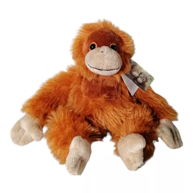 Orangutan teddy best sale iceland