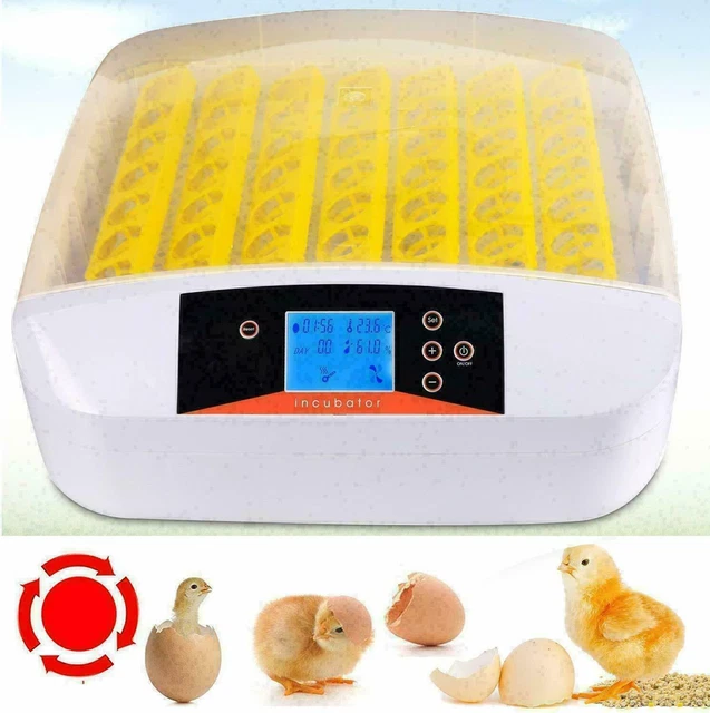 INKUBATOR VOLLAUTOMATISCHE BRUTMASCHINE Brutapparat für Hühner Enten 56 Eier EUR 109,99 INKUBATOR VOLLAUTOMATISCHE BRUTMASCHINE Brutapparat für Hühner Enten 56 Eier EUR 109,99