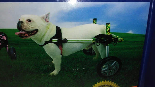 Walkin' Wheels with Larger Wheels For Small Dogs 15-25 lbs & 7" to 9" Width