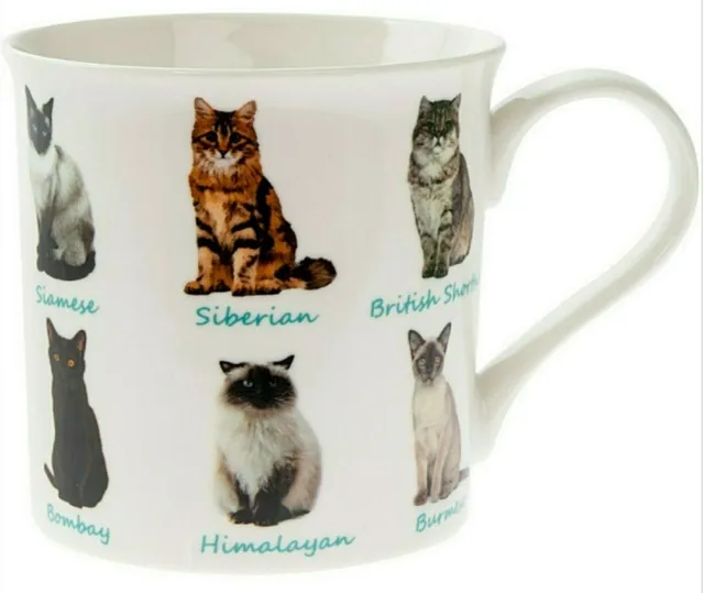 The Leonardo Collection Becher Cats Katzenrassen Katze