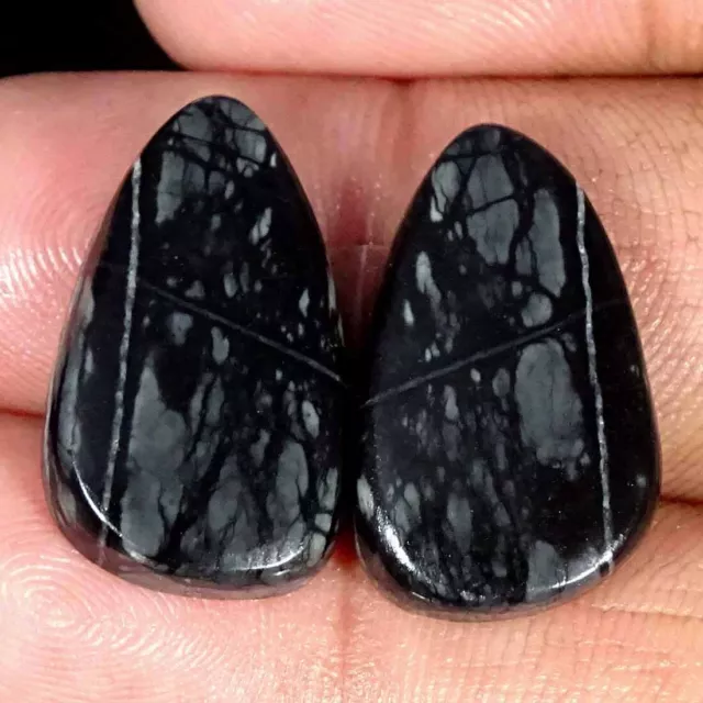 25.10Cts Natural Picasso Jasper Cabochon Loose Gemstone Fancy Pair