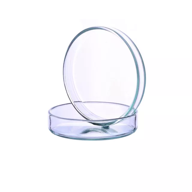 GLASS PETRI DISH 100mm x 15mm BOROSILICATE GLASS BASE AND COVER  FREE POST UK