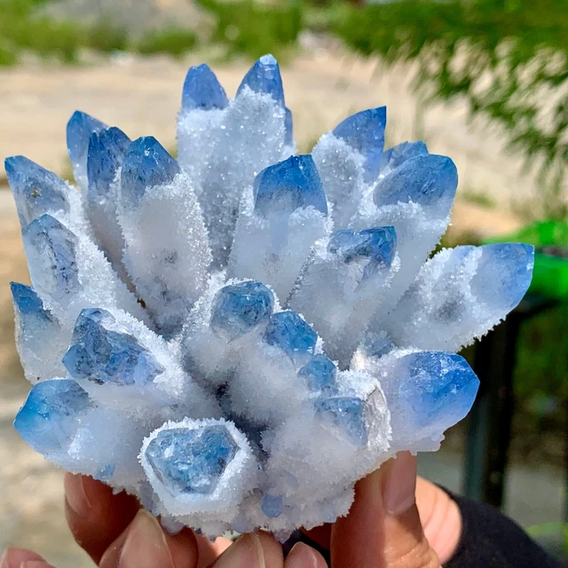 393G New Find sky blue Phantom Quartz Crystal Cluster Mineral Specimen Healing