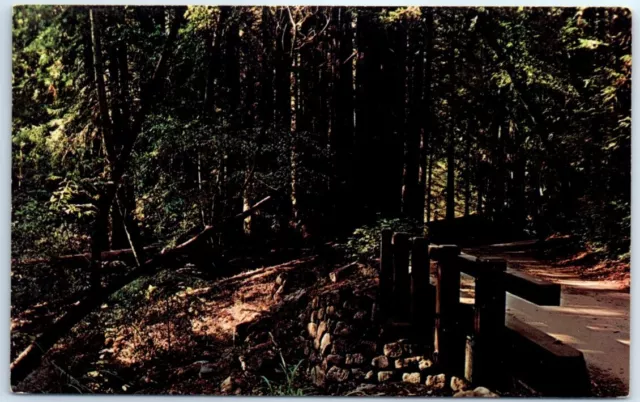 Postcard - Pfeiffer Big Sur State Park - California