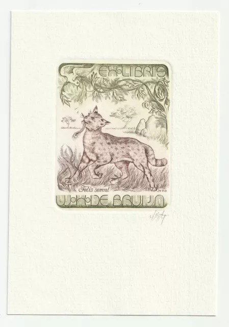 VITAUTAS JAKSTAS: erotisches Exlibris für W. K. de Bruijn "Felis serval"