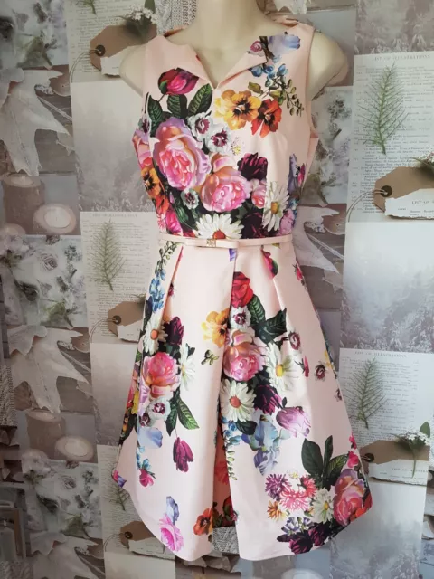 Ted baker oil painting dress top