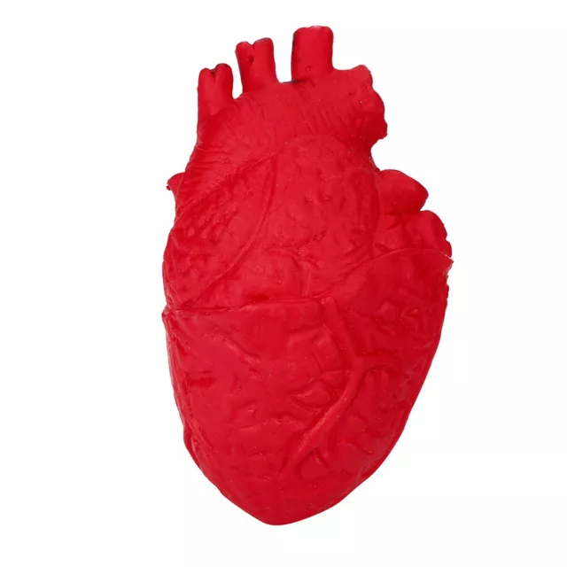 Novelty Silicone Stress Ball Scary Organ Heart Squeeze Toy Stress Reliever Toy