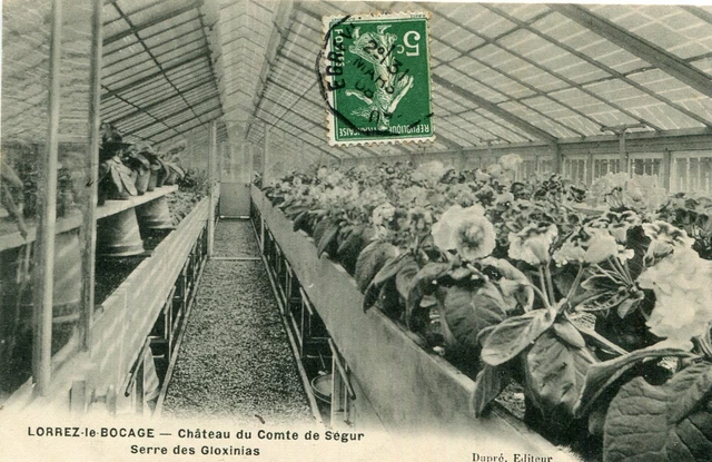 Carte LORREZ LE BOCAGE Château du Comte de Ségur Serre des Gloxinias