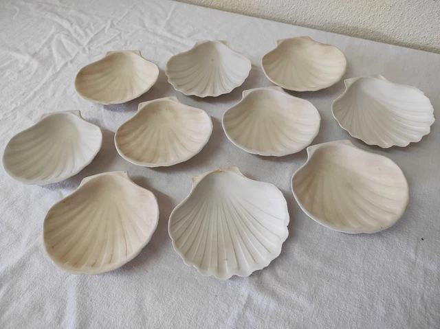 2 barquettes de 1kg de noix de Saint-Jacques