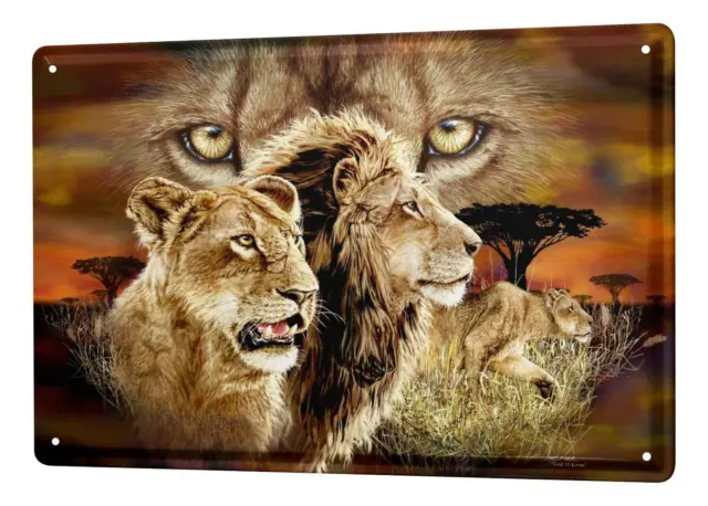 Plaque Émaillée Pratique Vétérinaire couple Lion  Publicité Signes En Métal