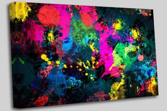 PAINT SPLATTER Canvas Wall Art Ready To Hang