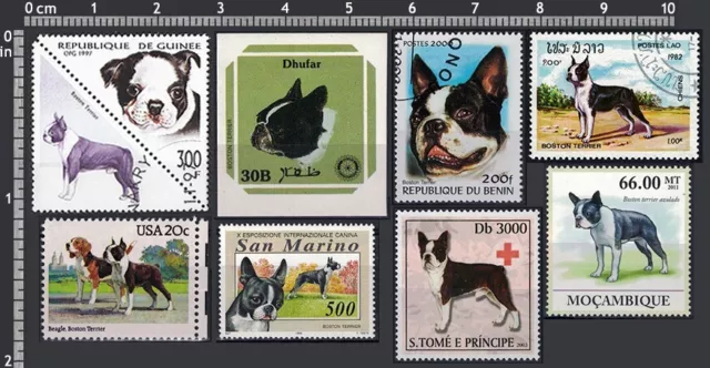 [bost] Frame it - Dog breed - BOSTON TERRIER - 8 Different Stamps - VF