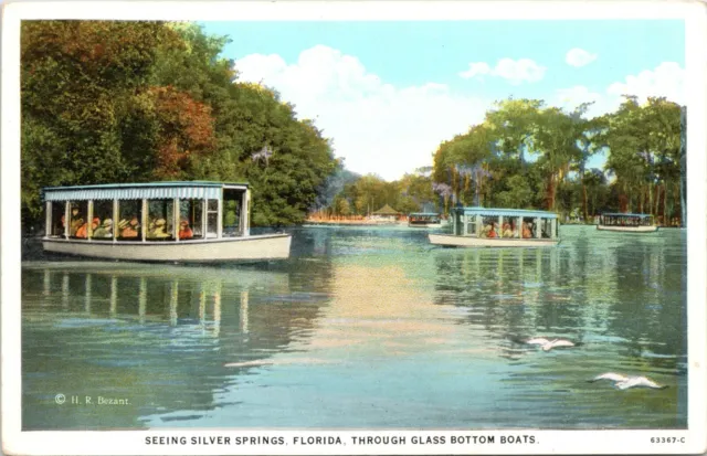 C.1920s Silver Springs FL Through Glass Bottom Boats Unused Florida Postcard 911