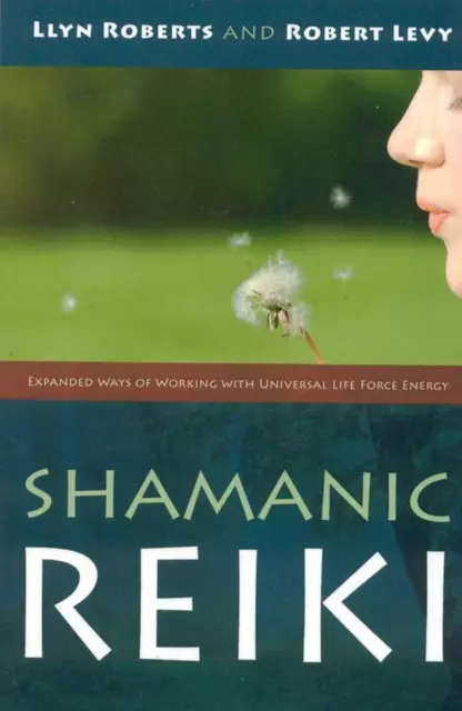Shamanic Reiki Expanded Ways of Working with Universal Life Force Energy by Llyn
