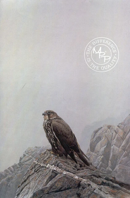 Robert Bateman Dark Gyrfalcon - Birds of Prey