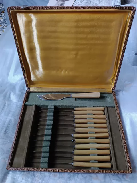 Coffret de 12 couteaux et un couteau de service 555 véritable mallaret inox