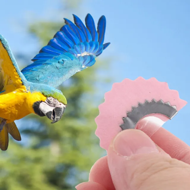 4 pz giocattolo pipa per uccellino pezzo (rosa) colorati oggetti di scena metallo