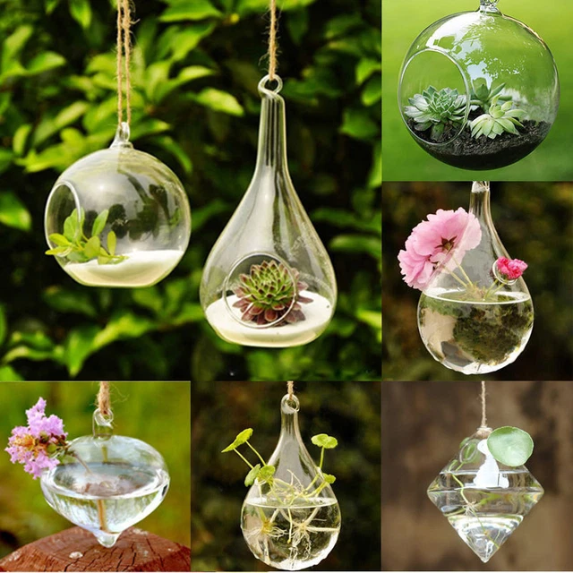 Home Garden Clear Glass Flower Hanging Vase Planter Terrarium Container New US