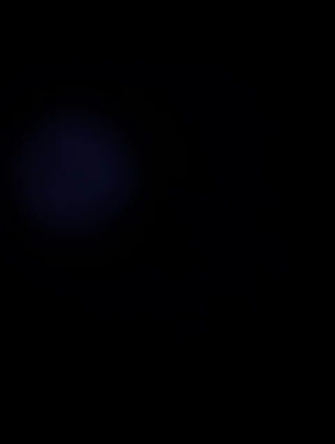 Placeholder 3