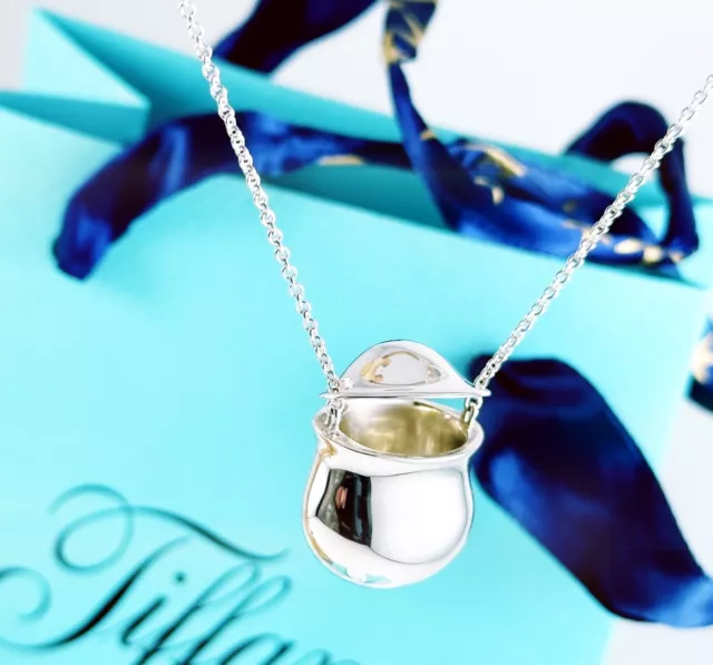 Tiffany & Co Elsa Peretti Sterling Silver Inro Bottle 24” Necklace/Pendant. New