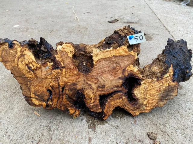 Olivenholz, Olive, Holz zum Basteln, Schnitzen, Drechseln, 3,2 kg Deko-Objekt