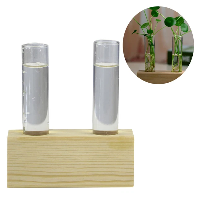 25 Vasi Rete Idroponica 7.6cm Con Stoppino - Per Orchidee, Coltivazione Indoor E Giardinaggio - Foto 10