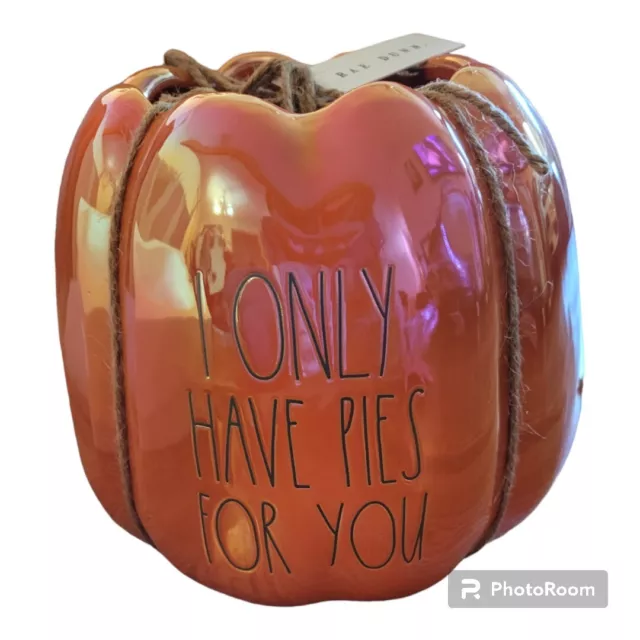 Rae Dunn Halloween Orange Iridescent Pumpkin Planter Fall Decor - New