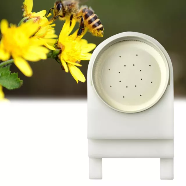 Beehive Feeder Feeder Abeille en plastique avec couvercle perforé Distributeur