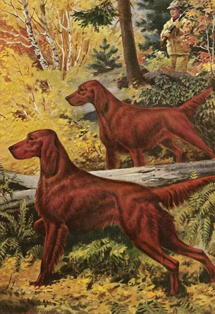 Irish Setter - CUSTOM MATTED - Vintage Color Dog Art Print