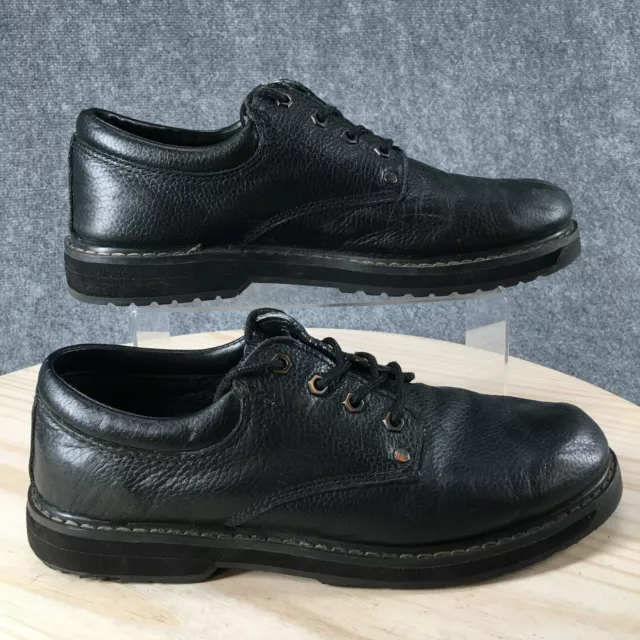 Dr sales scholls tundra