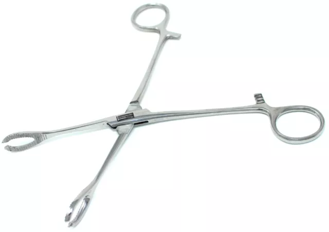 Slotted Sponge Forceps 18cm Ear Body Piercing Large Oval Round Clamps With Slots