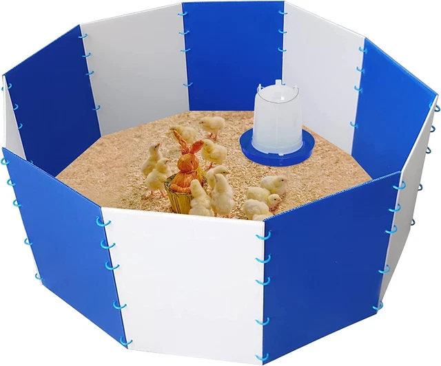 Baby Chick Starter Home Kit - Chicken Brooder Start Kit - Baby Chick Brooder Box