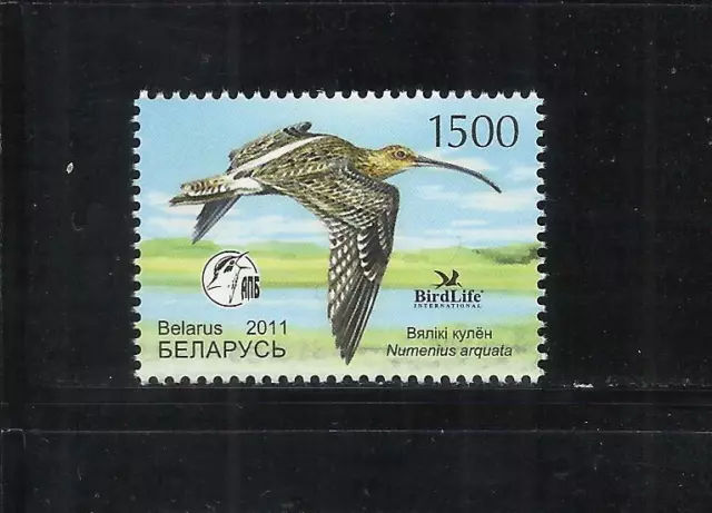 BIELORRUSIA. Año: 2011. Tema: FAUNA. AVES.