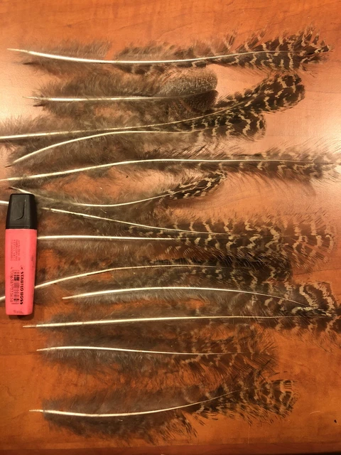 Plumes De Paon Striées Beige/marron – Lot De 6, Pour Mouche De Pêche