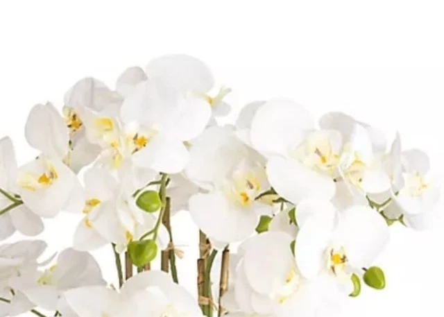 ABELLA FLORA KNSTLICHE Orchidee Phalaenopsis Dekotopf 80 cm P8 N247 EUR  69,00 - PicClick DE