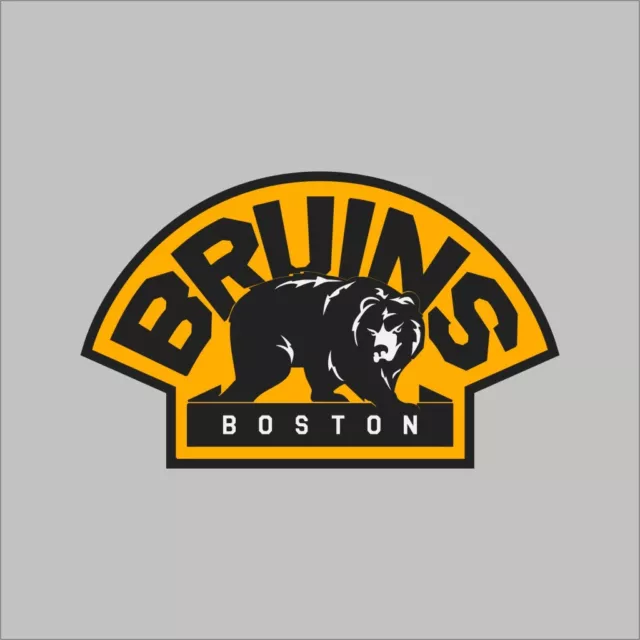 Boston Bruins 5 Nhl Team Logo Vinyl Decal Sticker Car Window Wall