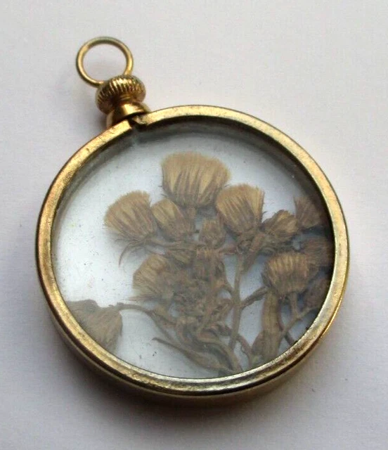 23,60 Cts Pierre Cabochon En Jaspe Dragon Sang Naturel Gemme Libre