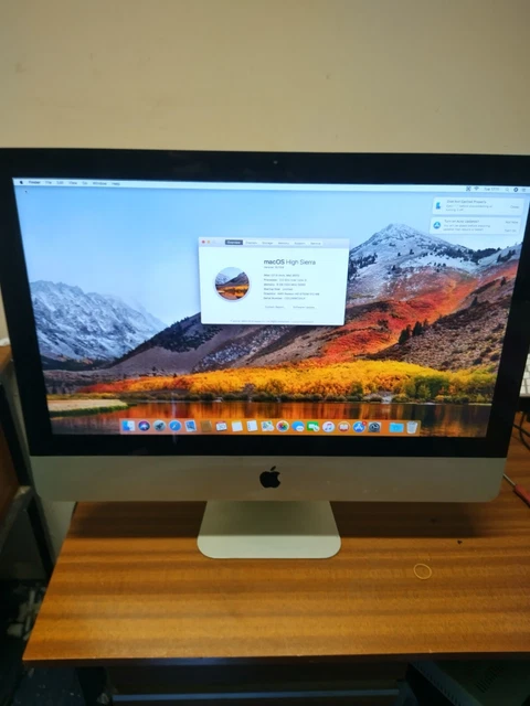 APPLE IMAC 24