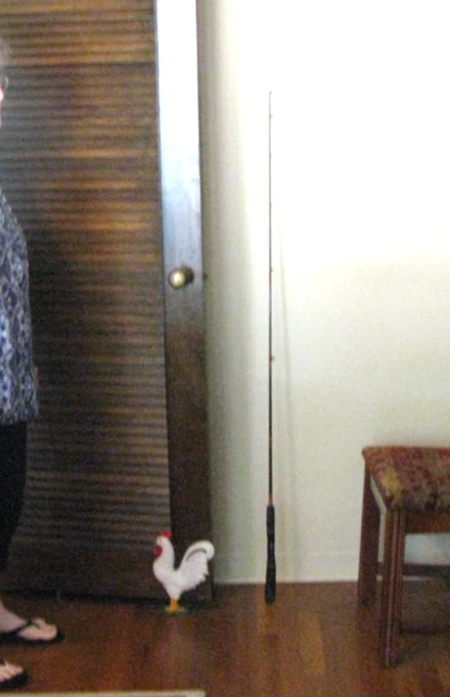 ロッド FENWICK BLACKHAWK GRAPHITE BC-55M One Piece Fenwick HMX Casting 7' MH Medium Heavy Fast Fishing Rod